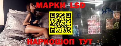 ECSTASY Камышлов