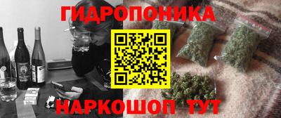 ECSTASY Камышлов